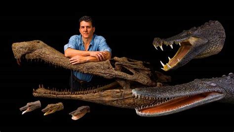 Sarcosuchus – SuperCroc | DinoAnimals.com