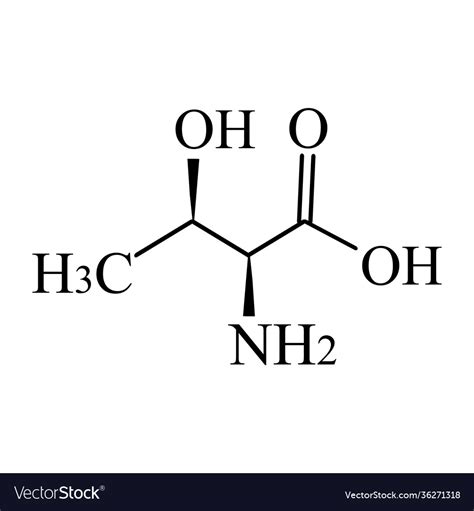 Threonine is an amino acid chemical molecular Vector Image