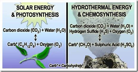 Chemosynthesis Is a Process by Which Some Organisms Use - Mira-has-Rubio