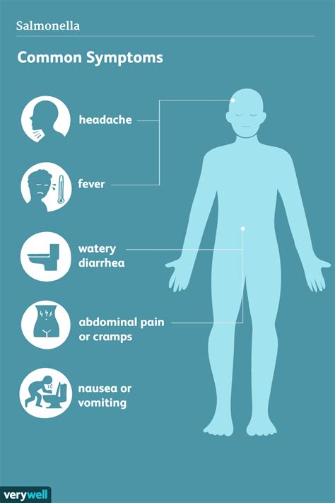 Salmonella: Signs, Symptoms, and Complications