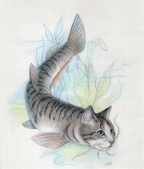 Tabby Catfish by JAMiAm100 on DeviantArt