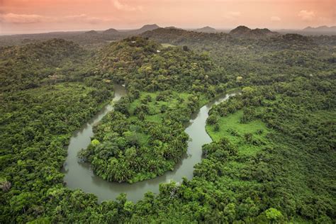 Breathtaking Rainforest View from Belcampo Belize Hotel