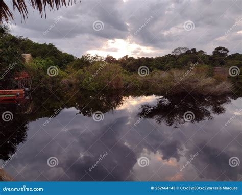 Sunrise of the Amazon Rainforest Stock Image - Image of observation ...