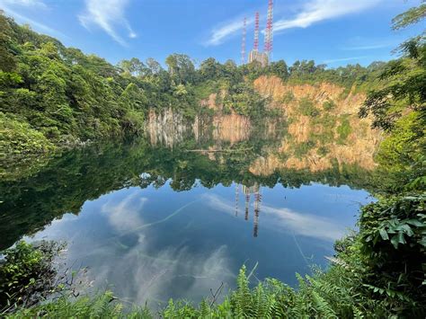 A Family Guide to Bukit Timah Hill & Hindhede Nature Park