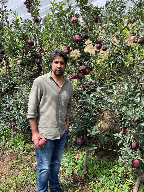 Apple Garden Kashmir | Fasci Garden