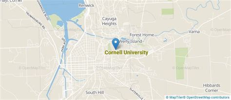 Cornell University Overview - Course Advisor