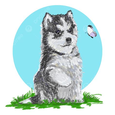 Cute Black And White Husky, Husky, Dog, Butterfly PNG Transparent Clipart Image and PSD File for ...