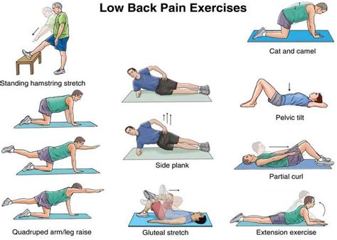 Physical Therapy Exercises: Back Strengthening Exercises