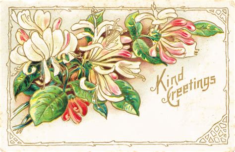 Collage Candy: Vintage floral postcards from the early 1900s