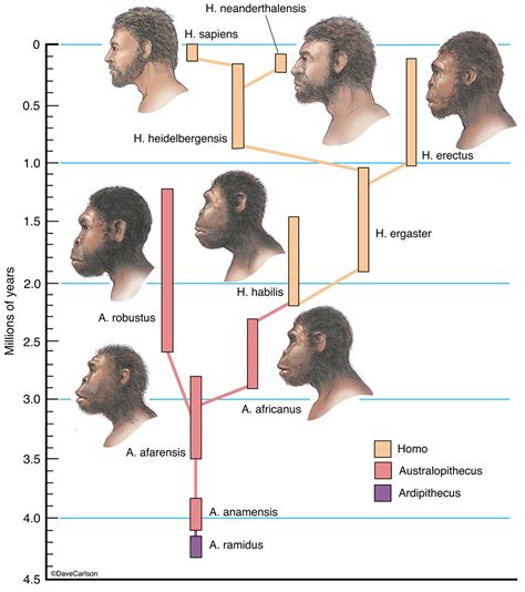 What Is It That Makes Humans Unique? – open ended social studies