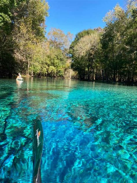 Gilchrist Blue Springs State Park Archives - Parks Guidance