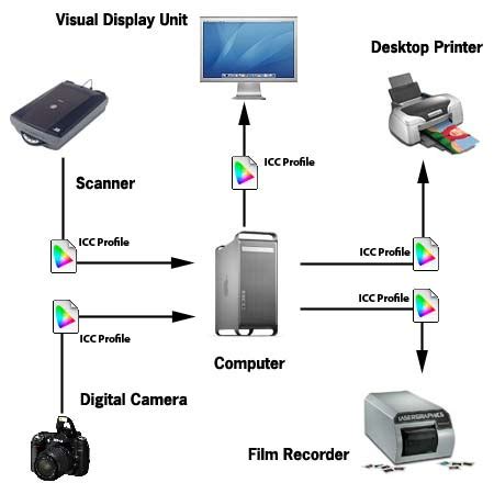 Four Basic Categories of Output Devices of a Computer ~ Hardware Technical Support