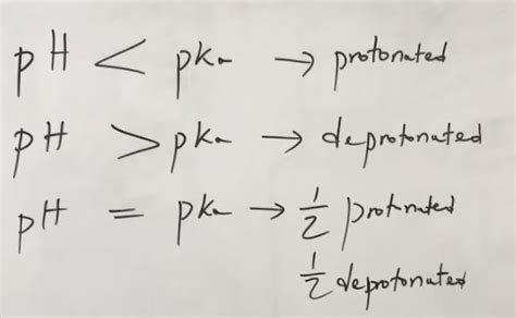 How to Determine the Net Charge of Amino Acids - Food Science Toolbox