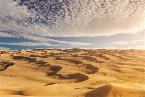 Fakta-fakta Gurun Sahara, Tidak Hanya Dihuni Unta