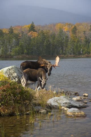 Interactive Map of Maine's National Parks and State Parks