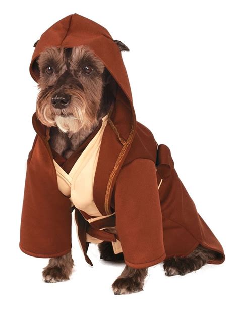 40 Halloween Costumes for Dogs - Dog Friendly San Antonio