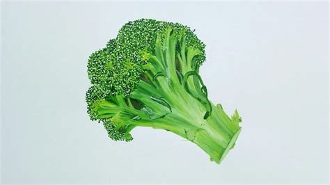 Realistic broccoli Drawing - YouTube