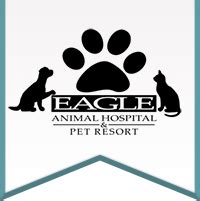 Eagle Animal Hospital & Pet Resort | Riverside, MO Veterinary Care | Kansas City