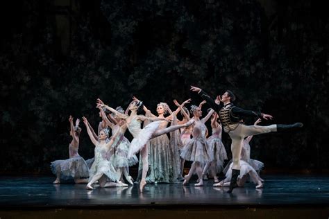 Birmingham Royal Ballet in 'The Sleeping Beauty' - Photo by Bill Cooper Bill Cooper, Royal ...