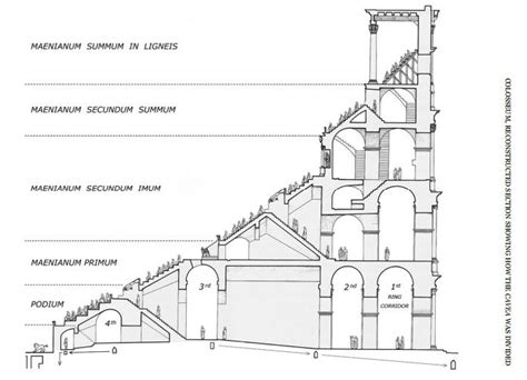 A quick guide to the Roman Colosseum architecture | StayCiao - Blog ...