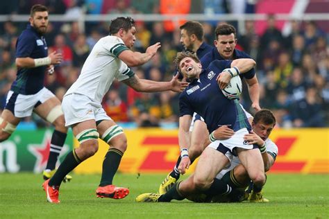 Rugby World Cup 2023 Match Preview: South Africa v Scotland | World Rugby