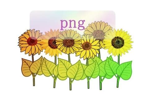 Sunflower Clip Art Colorful Flower Png Graphic by Jay studio · Creative ...