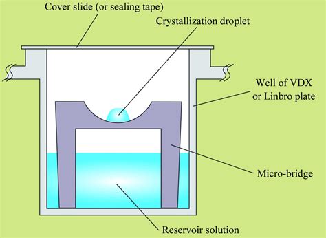 (IUCr) Introduction to protein crystallization