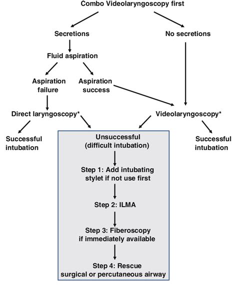 Airway management algorithm. This airway management algorithm was... | Download Scientific Diagram