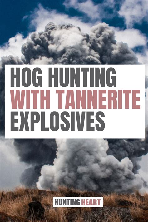 Hog Hunting with Tannerite Explosives | Hog hunting, Hunting, Hunting trip