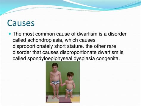 PPT - Dwarfism PowerPoint Presentation, free download - ID:2211221