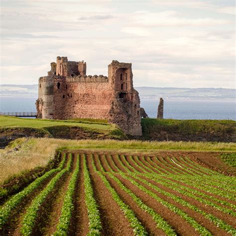 Online Course on Scottish History | Context Travel - Context Travel