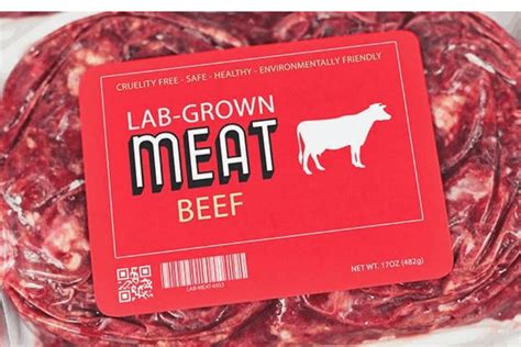 Lab-Grown Meat: Is It as Sustainable as It Seems? - Brightly