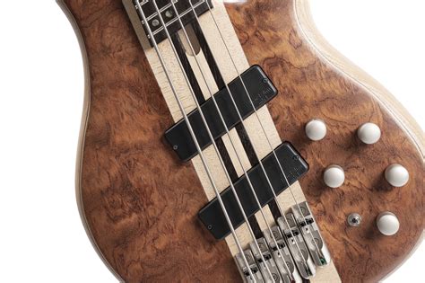 Cort Announces the Artisan Series A5 Beyond Bass Guitar – No Treble