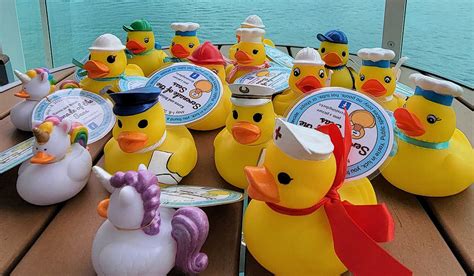 Cruising Ducks – Has The World Gone Quackers? - Forever Karen