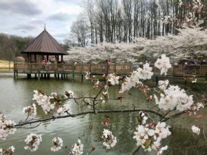 Visit Meadowlark Botanical Gardens for Year-round Beauty in Northern VA