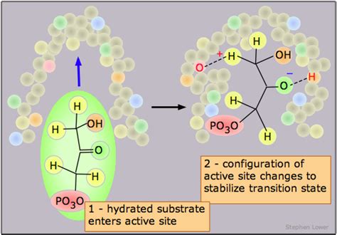 17.6: Catalysts and Catalysis - Chemistry LibreTexts