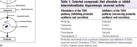 Table 1 from Levosulpiride and Serum Prolactin Levels | Semantic Scholar