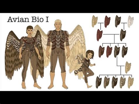 Worldbuilding | Avian-Human Biology pt 1: Introduction to Qyaalyon and ...