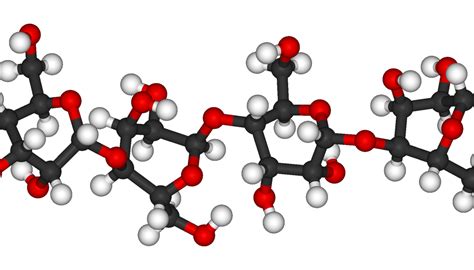 Xenlulozo là gì? Xenlulozo có ở đâu, tính chất, cấu trúc | Blog Hồng