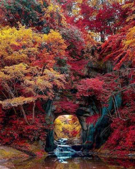 cozy autumn days — cozy autumn days | Nature, Autumn scenery, Nature photos