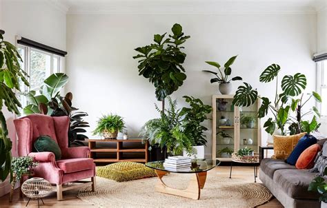 How to Decorate a Living Room with Plants: 25 Amazing Ideas