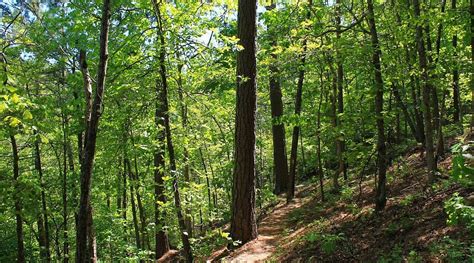 Hobbs State Park-Conservation Area Trails - Arklahoma Hiker