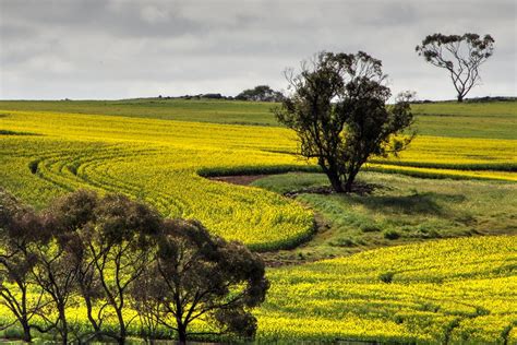 Things to see in Beverley - Beverley, WA