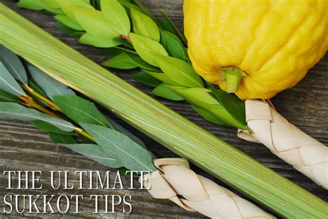 Ultimate Sukkot tips - Chef Zissie Recipes