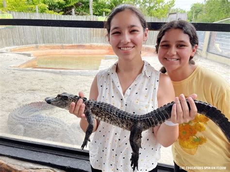 Airboat Ride at Everglades Alligator Farm - The Educators' Spin On It