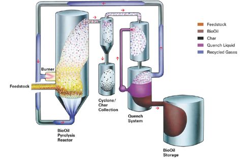 Insights into Biomass Pyrolysis | Cleantech Solutions