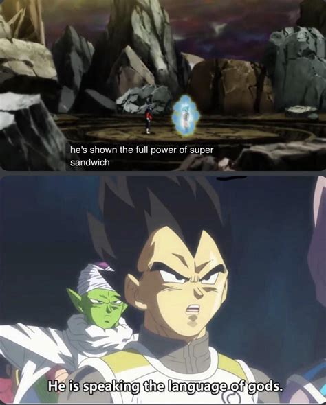 Is this the true power of a Super Saiyan God?! : r/Animemes