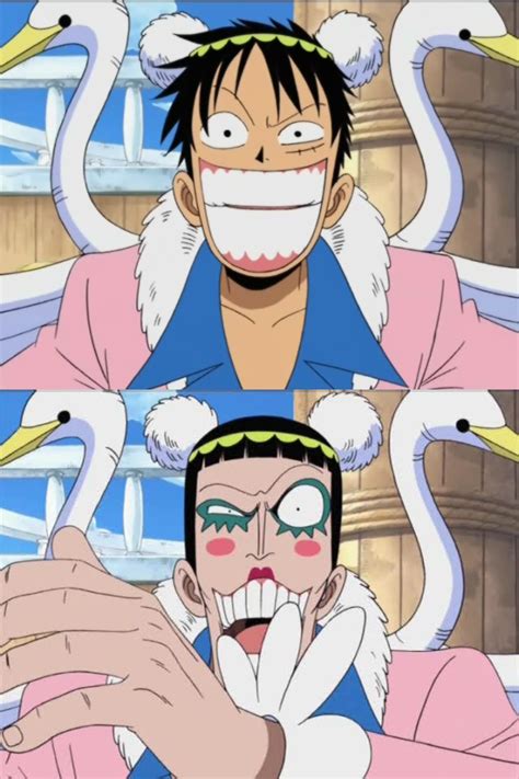 Clone-Clone Fruit | One Piece x Fairy Tail Wiki | Fandom