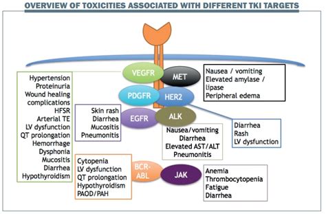 Managing common toxicities with new tyrosine kinase inhibitors | Cancer ...