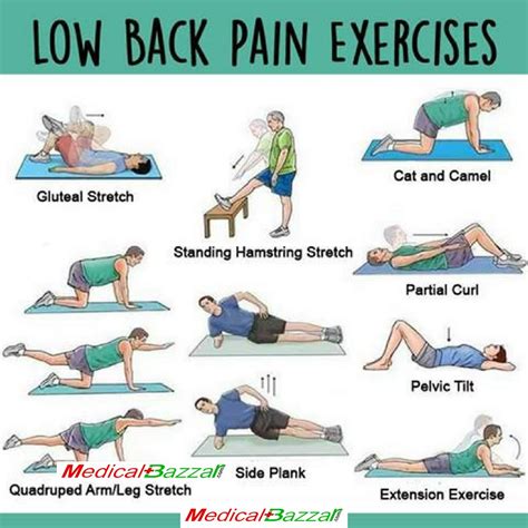 Best Physical Therapy Exercises For Lower Back Pain at Kelly Cecil blog